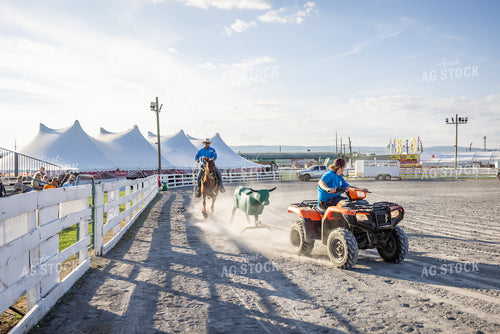 Equine Roping Show 270100