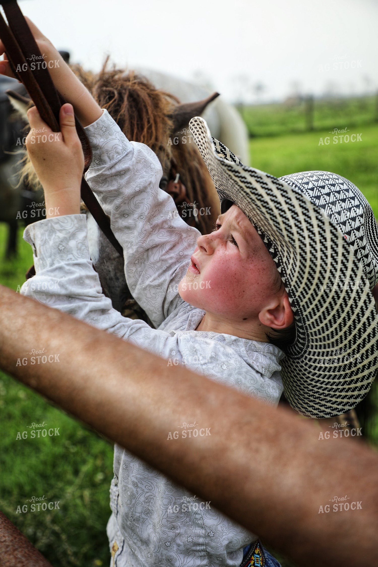 Ranch Kid Tying Bridle on Fence 210010