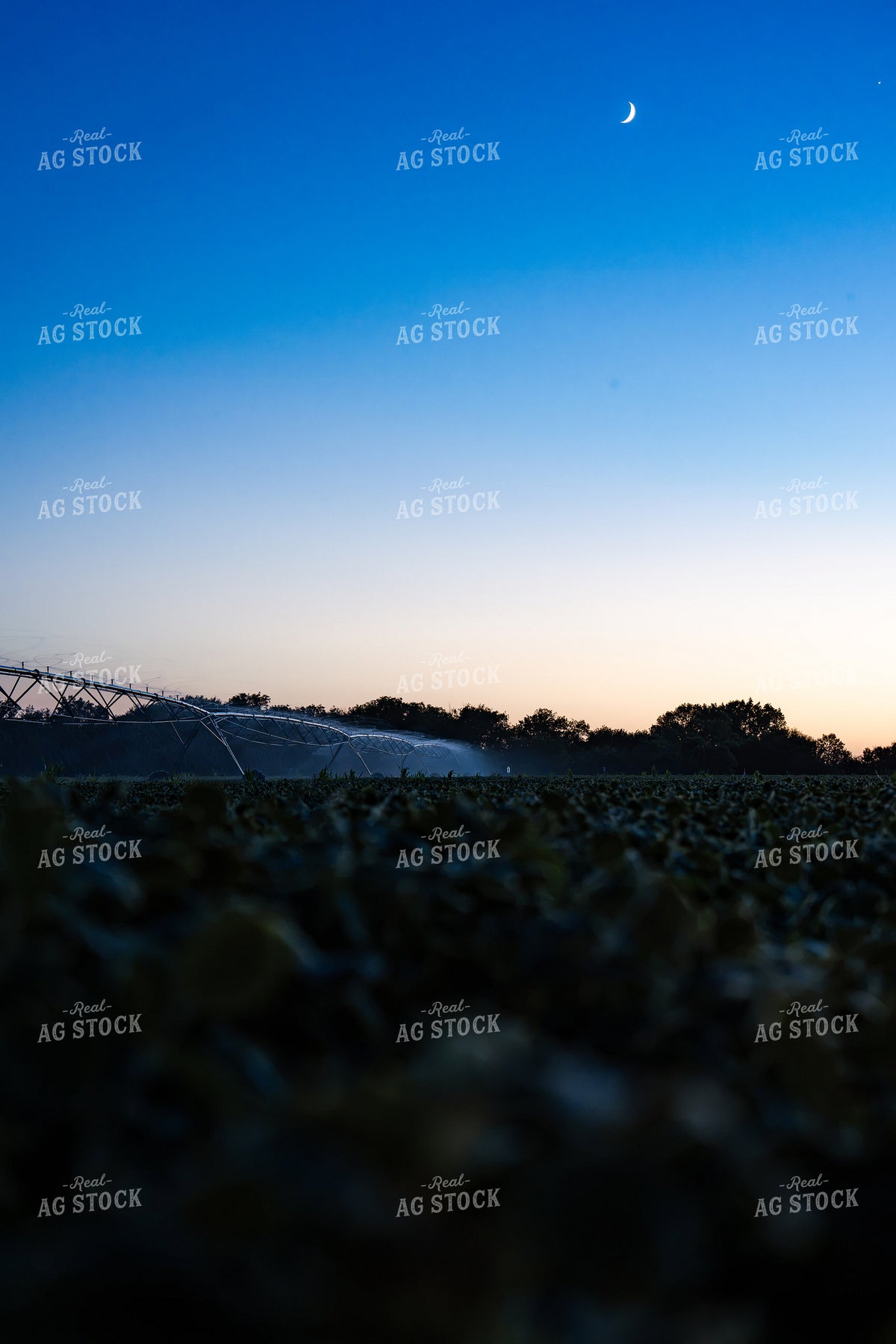Irrigating at Night 65937