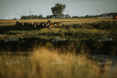 Cattlemen in Pasture 6387