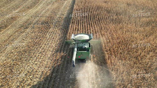 Aerial of Harvesting White Corn 65574