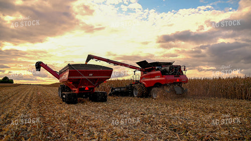 Combine Unloading Corn into Auger Wagon on the Go 25644