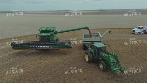 Wheat Harvest 239334