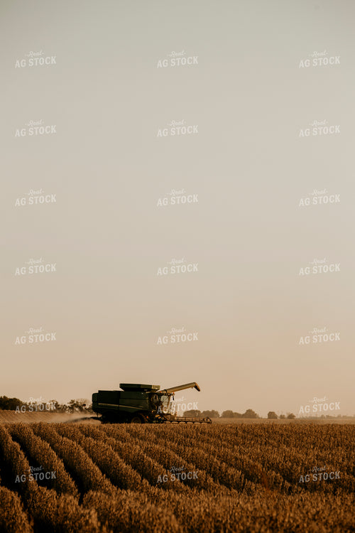 Harvest 2584