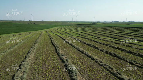 Aerial of Cut Hay Field 268024