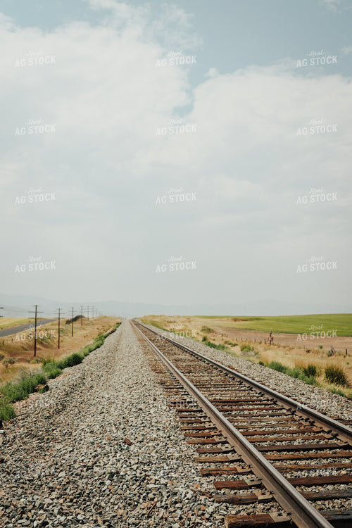 Train Tracks 83153