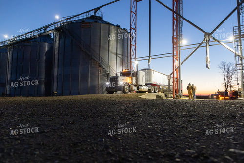 Unloading Semi Trailer at Grain Storage 79761