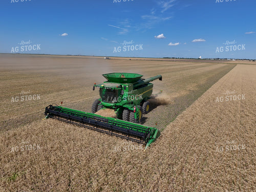 Wheat Harvest 239281