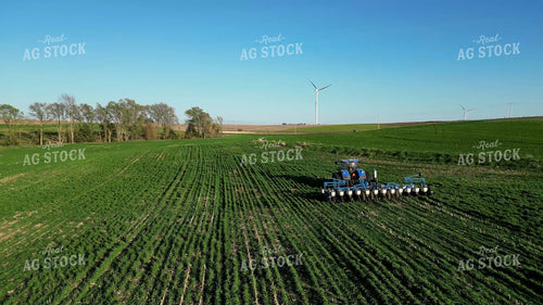 Planting into Cover Crop 268311