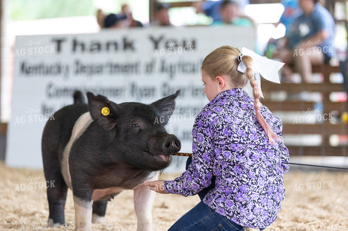 Showing Pigs 52700