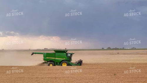 Wheat Harvest 239006