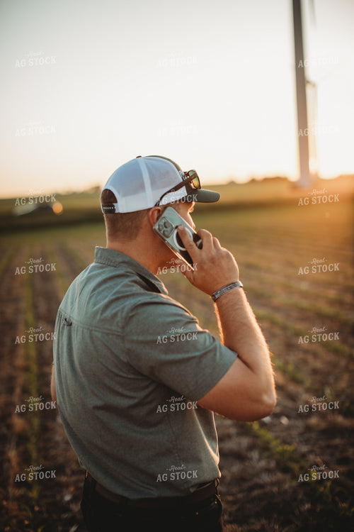 Farmer Agronomist Talking on Phone in Corn and Triticale Cover Crop Field 5919