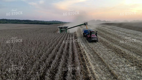 Aerial of Corn Harvest 149117