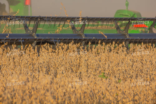 Soybean Harvest 291120