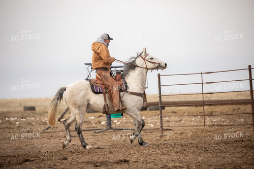 Rancher on Horseback 190013