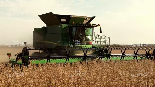 Soybean Harvest 287004
