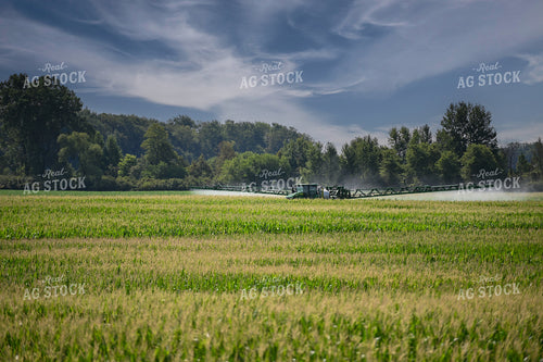 Self-Propellerd Sprayer in Corn Field 90135