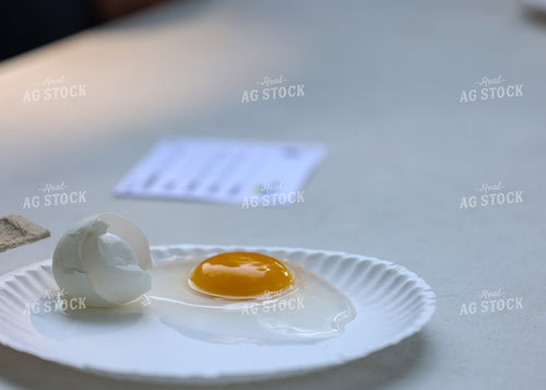 Showing Eggs 160136