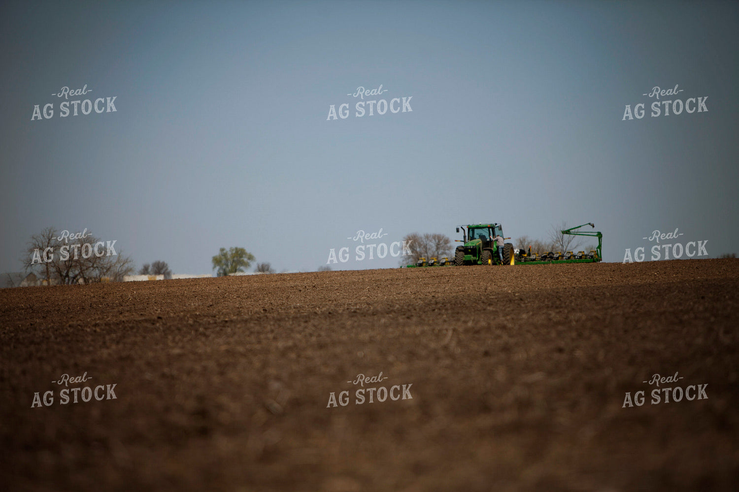 Planting 1995