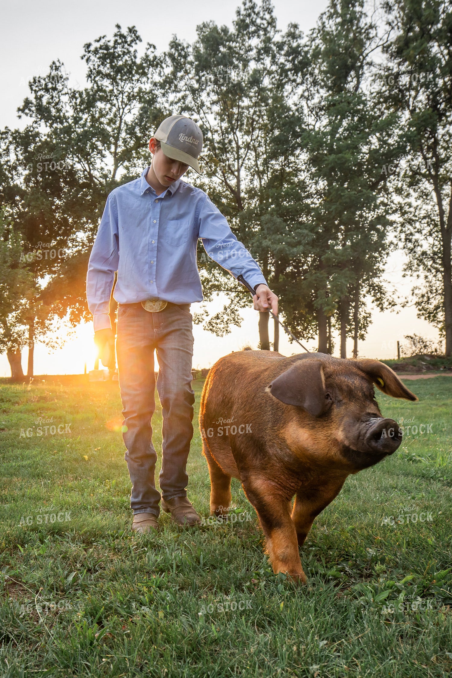 Farm Kid with Show Pig 270216