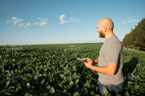Farmer on iPad in Soybean Field 25966