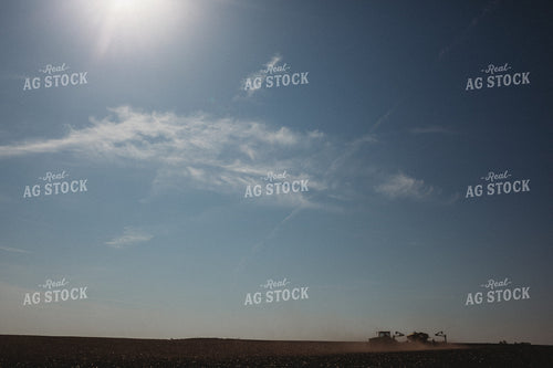 Planting on Sunny Day 3997