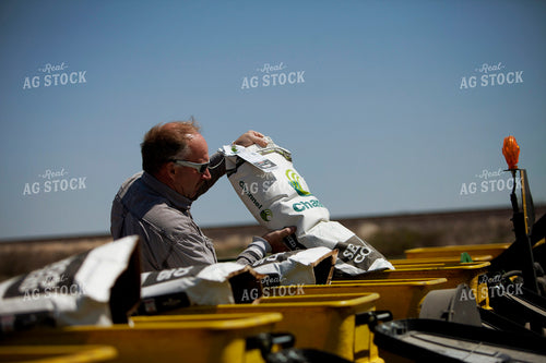 Planting 2003