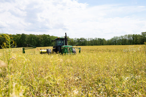 Planting into Cover Crops 168057