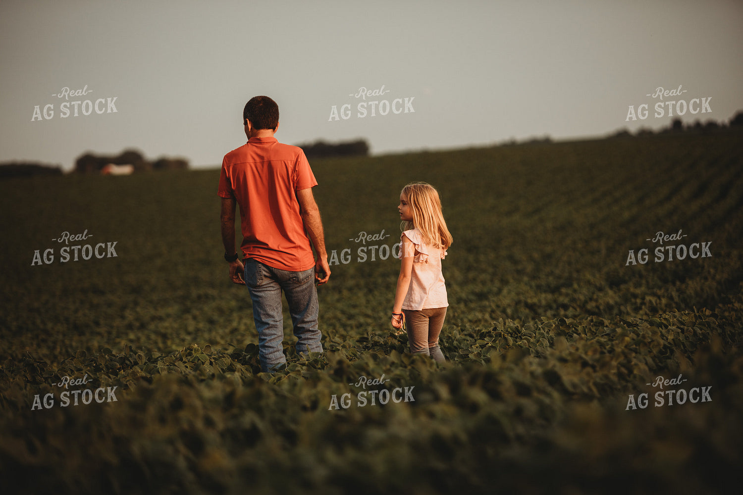 Farmer and Farm Kid Checking Crops in Soybean Field 4585