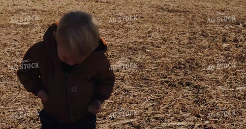 Farm Kid Putting Soybeans in his Pocket 3957