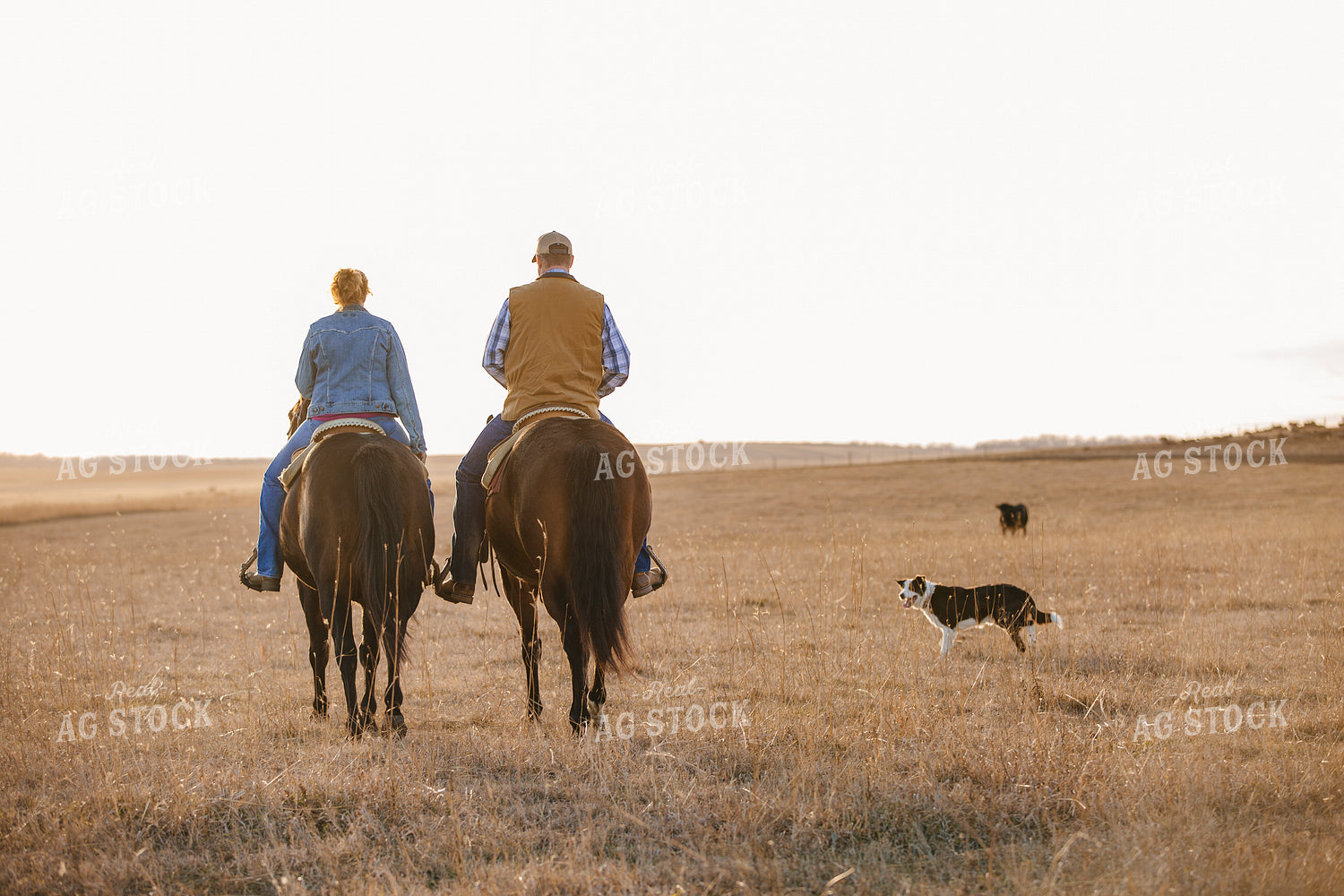 Ranchers on Horseback 285018
