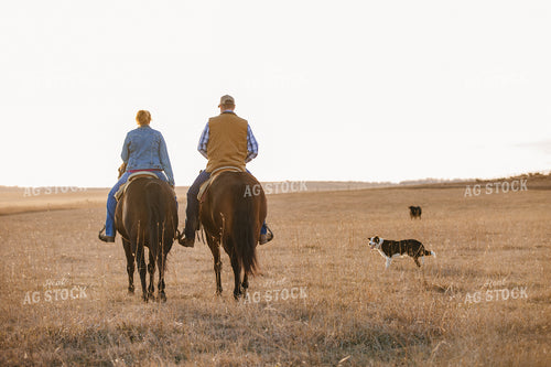 Ranchers on Horseback 285018