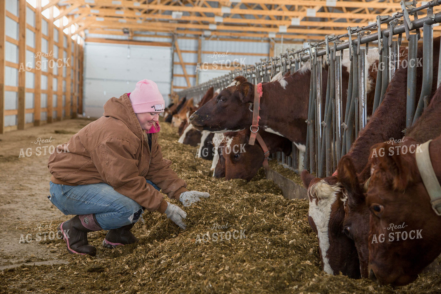 Female Dairy Farmer with Total Mixed Ration 161017