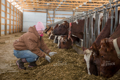 Female Dairy Farmer with Total Mixed Ration 161017