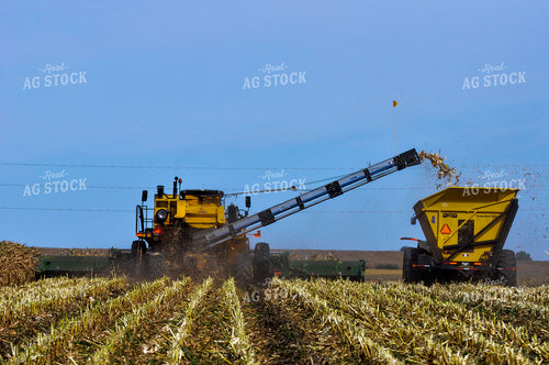 Seed Corn Harvest 103056