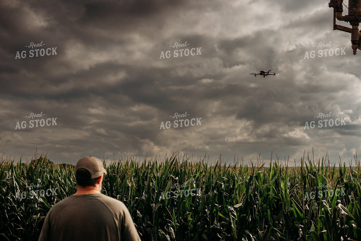 Scouting Fields With Drone 196356