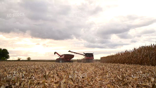Combine and Grain Cart Switching Rows