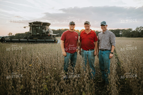 Farmers Standing in Dried Soybean Field at Sunset 4976