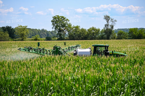 Self-Propellerd Sprayer in Corn Field 90139