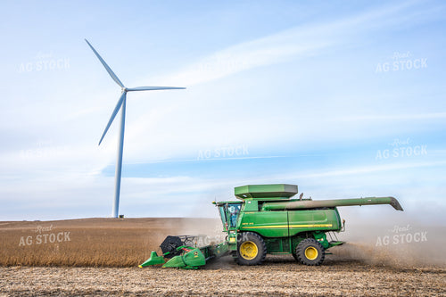 Soybean Harvest 250092