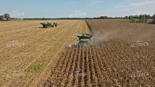 Corn Harvest 92065