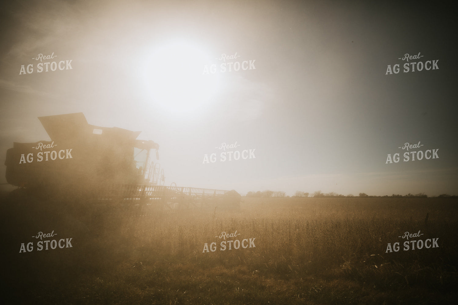 Dusty Soybean Harvest 7095