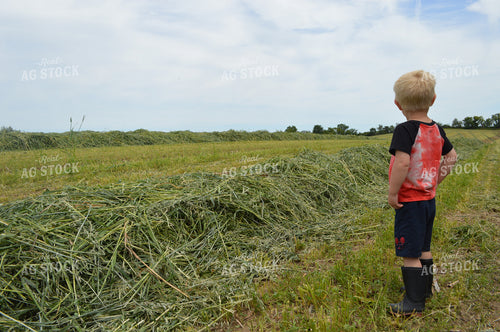 Farm Kid by Cut Hay 206057