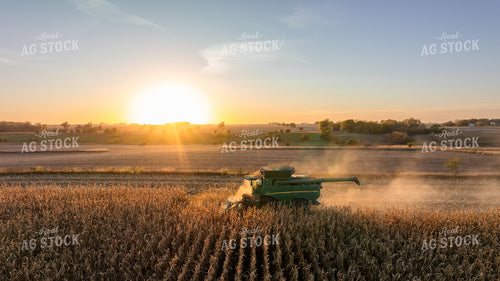 Corn Harvest 274005