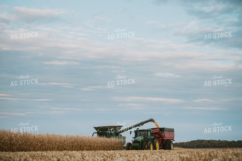 Combine Unloading Corn into Grain Cart 6932
