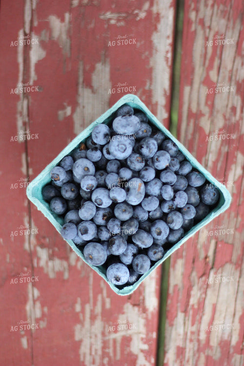 Overhead Blueberries in Punnet 73012
