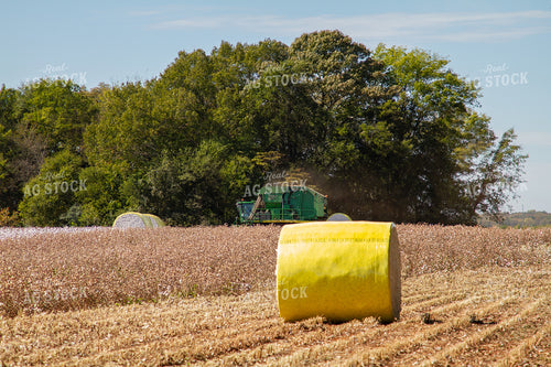 Cotton Picker in Field with Bales 79090