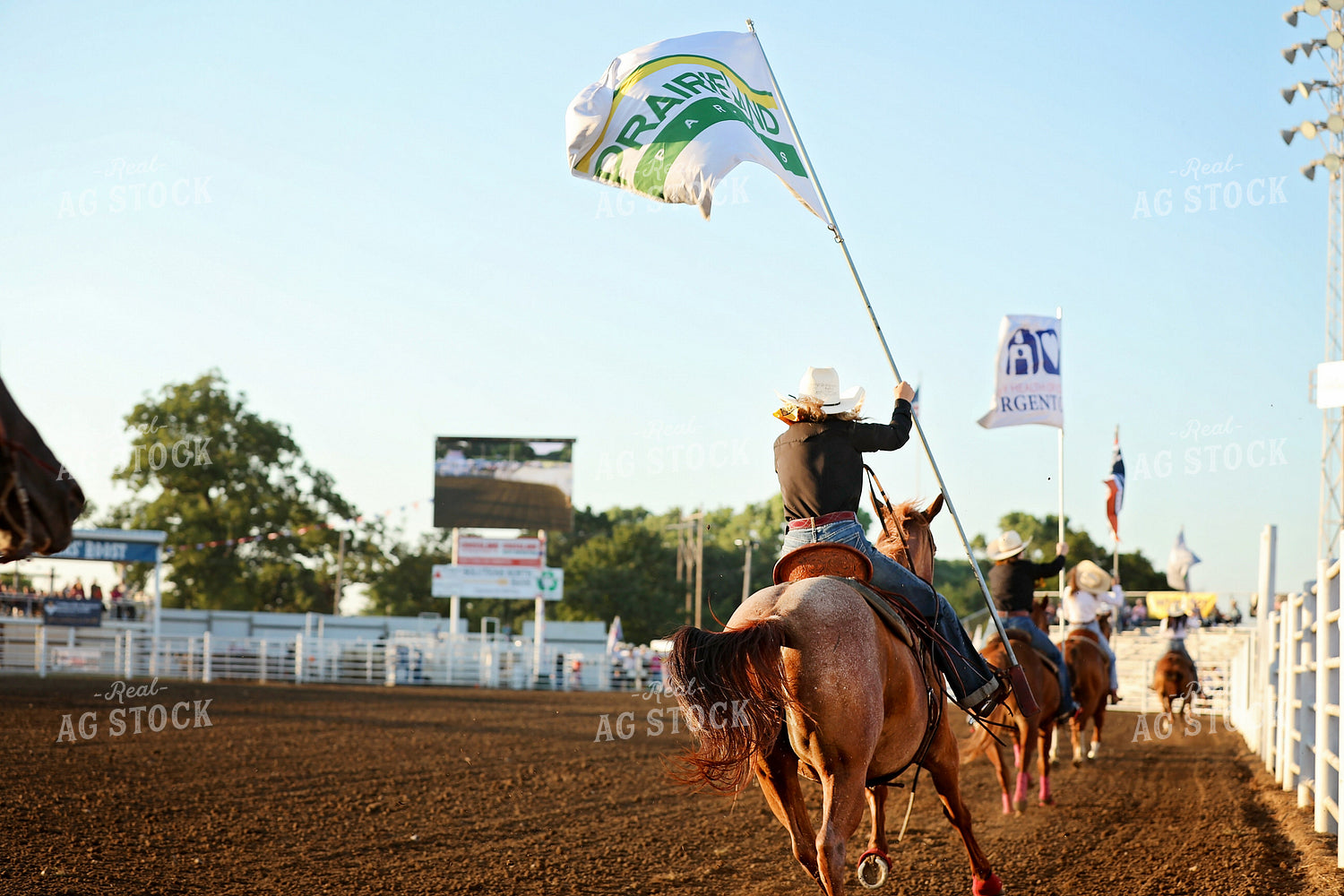 Rodeo 127080