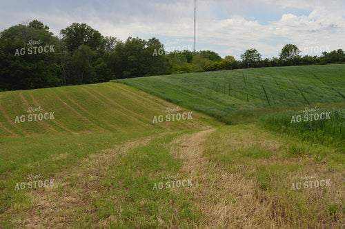 Baled Ground 206042