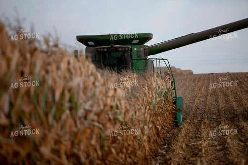 Harvest 1769
